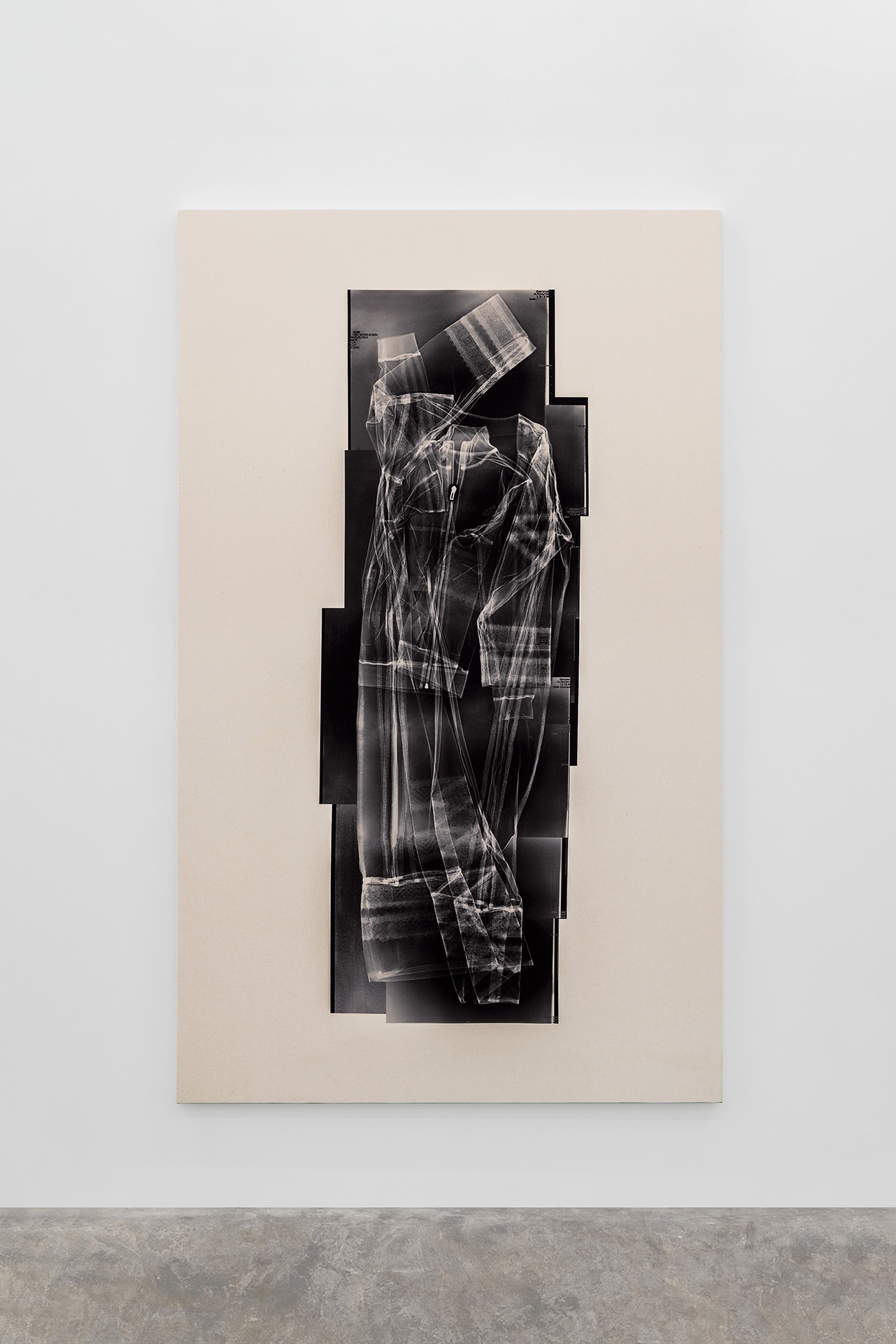 Tarik Kiswanson, Passing, 2022, inkjet on cotton, 245 x 150 cm