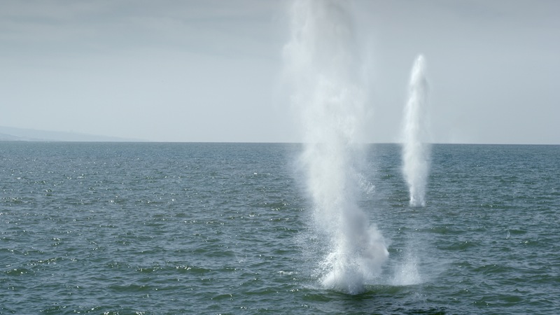 Akram Zaatari. Letter to a Refusing Pilot (still), 2013. Film and video installation. Courtesy of the artist and Sfeir-Semler Gallery, Beirut