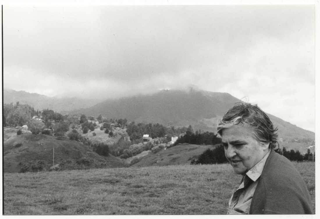 Etel Adnan in KQED