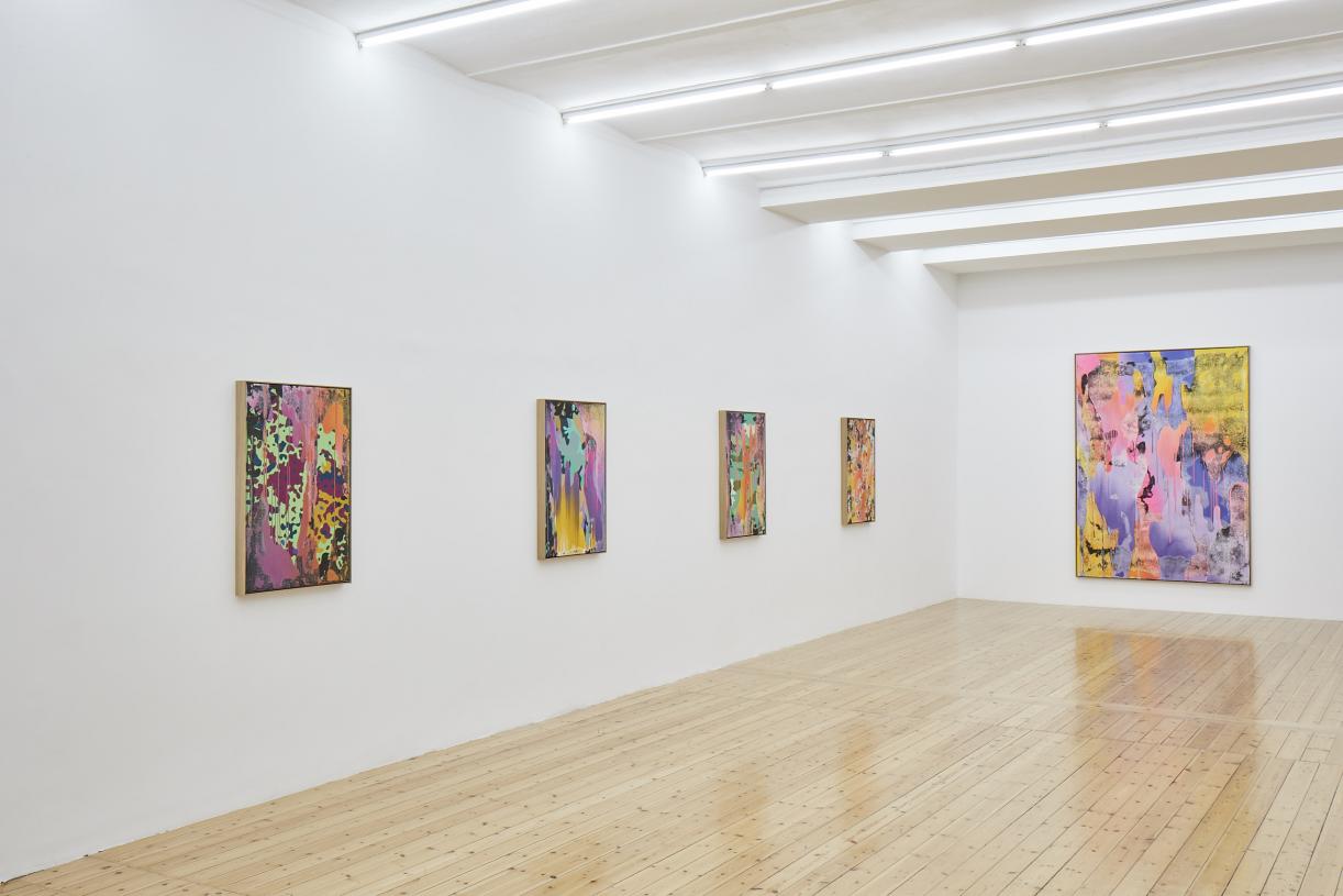 Christine Streuli, Nachtschattengewächse, Exhibition view, Sfeir-Semler Gallery Hamburg, 2017