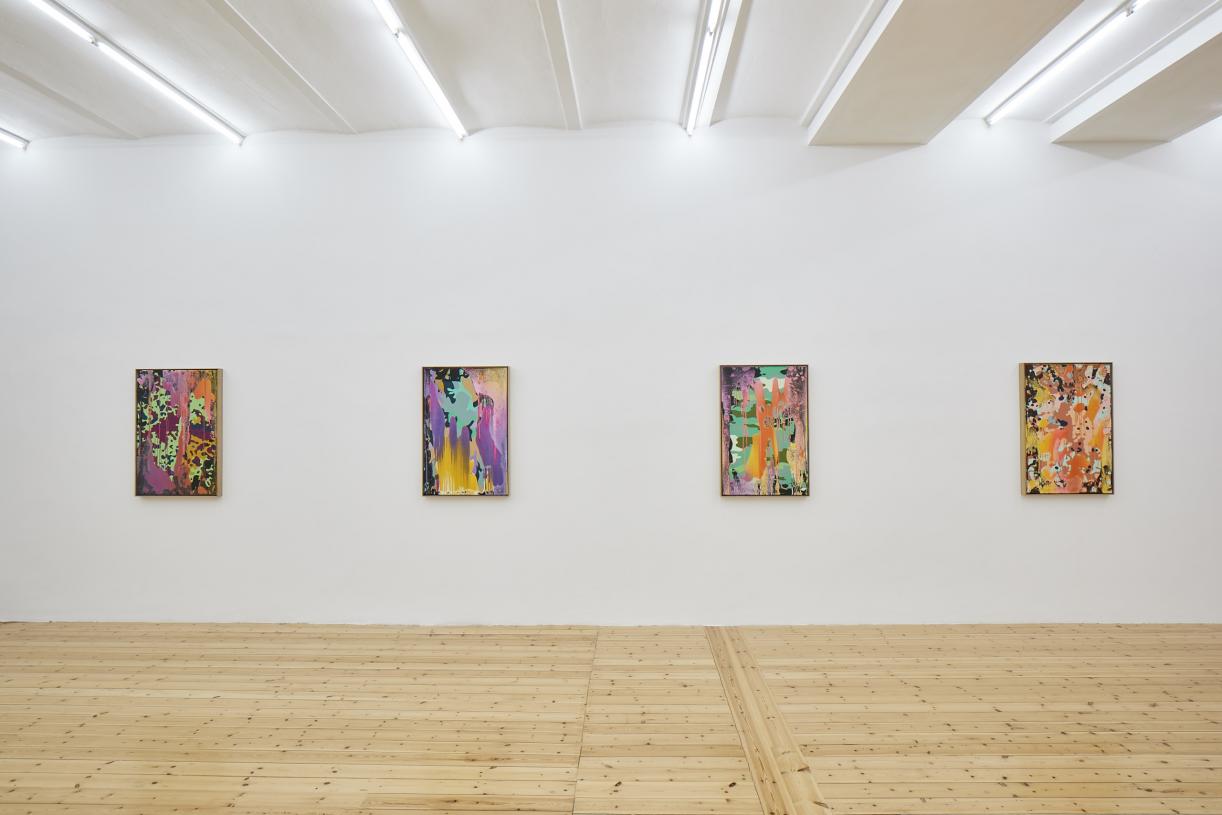 Christine Streuli, Nachtschattengewächse, Exhibition view, Sfeir-Semler Gallery Hamburg, 2017