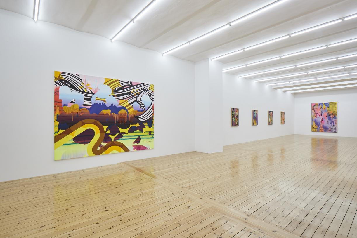 Christine Streuli, Nachtschattengewächse, Exhibition view, Sfeir-Semler Gallery Hamburg, 2017