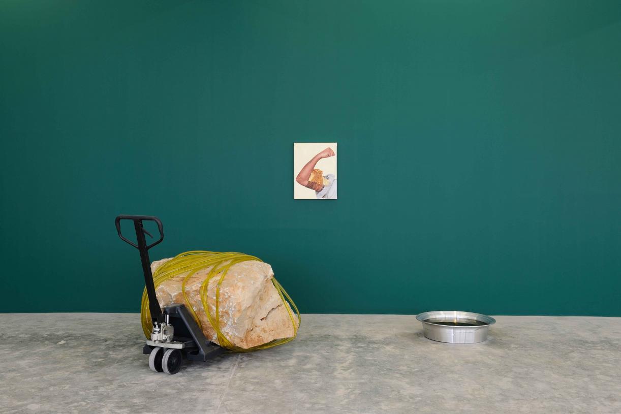 New Sites for the Museum Departments or four places to visit Heaven, 2018, Area C Fields of Gold - Botanical Department, Exhibition view Sfeir-Semler Gallery Beirut