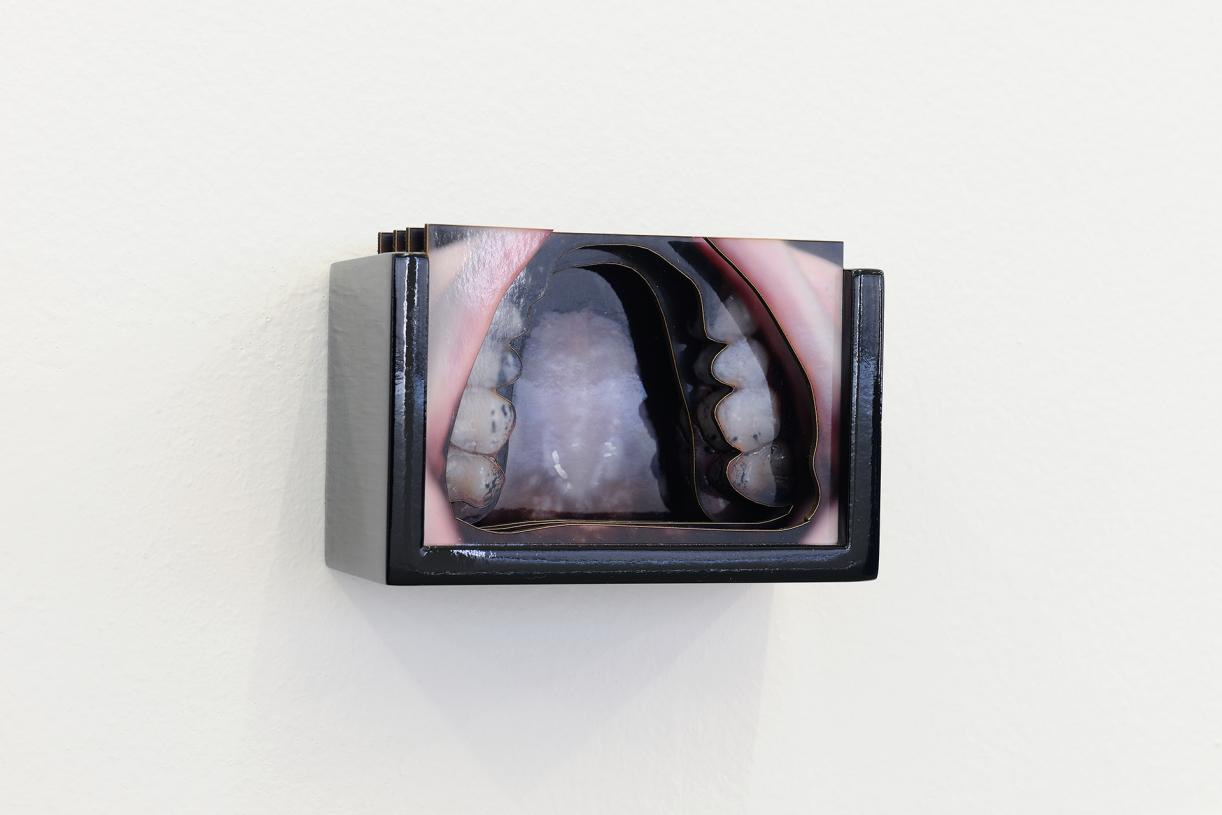 Disputed Utterance, 2019, 14 laser-cut diorama, c-prints mounted on cardboard with wooden cases, 7 texts printed on PVC plates, 7 x 10 x 6 cm each, Ed. 5 + 2 AP, Detail