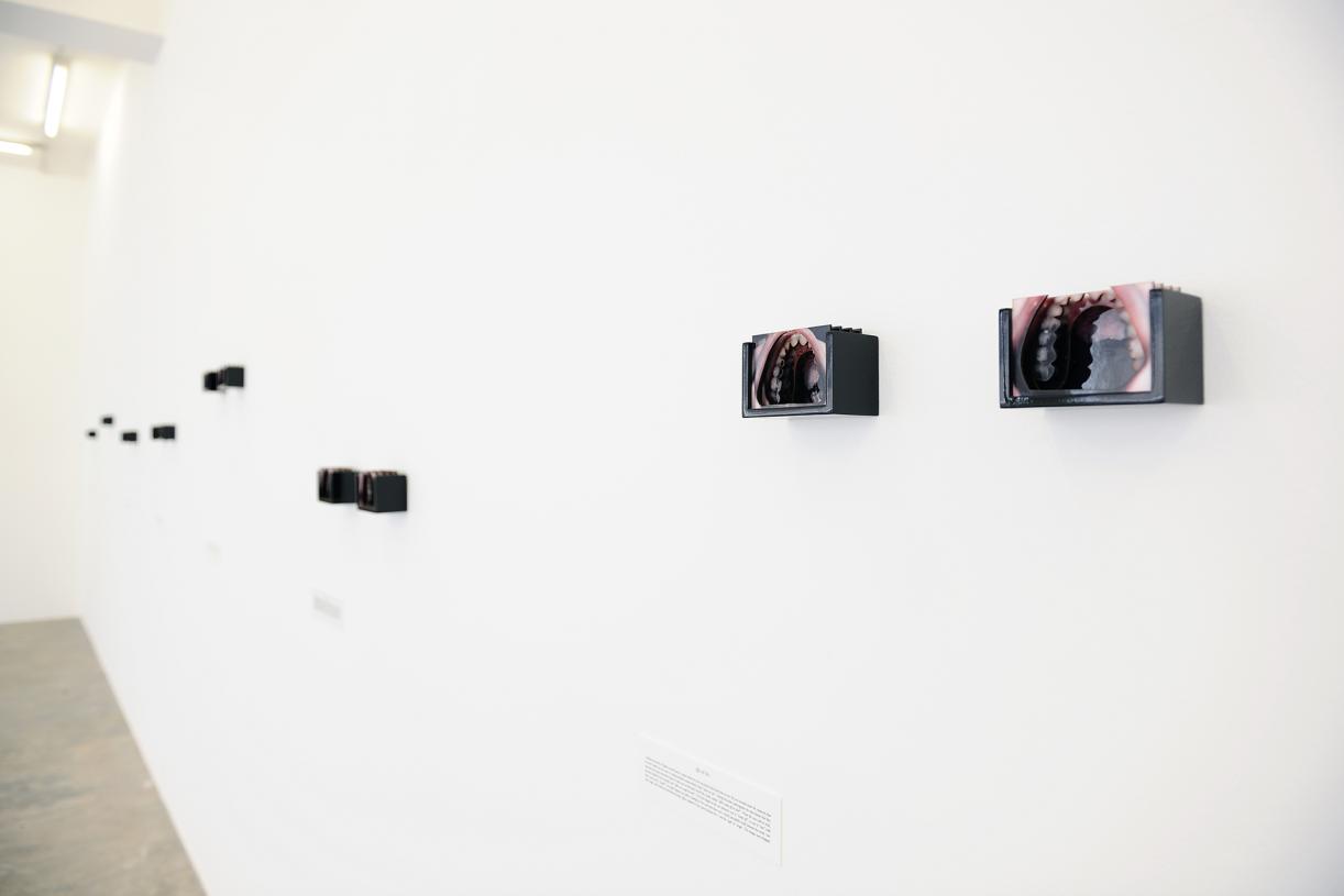 Disputed Utterance, 2019, 14 laser-cut diorama, c-prints mounted on cardboard with wooden cases, 7 texts printed on PVC plates, 7 x 10 x 6 cm each, Ed. 5 + 2 AP