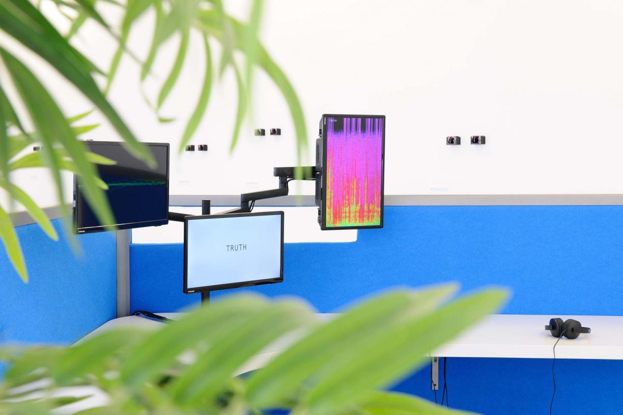 The Whole Truth, 2012, Reverse engineered lie detector, 3 channel video, stereo sound, desk, 3 chairs, 3 artificial plants, 24 minutes, 612 x 435 x 190 cm, Ed.5 + 2 AP