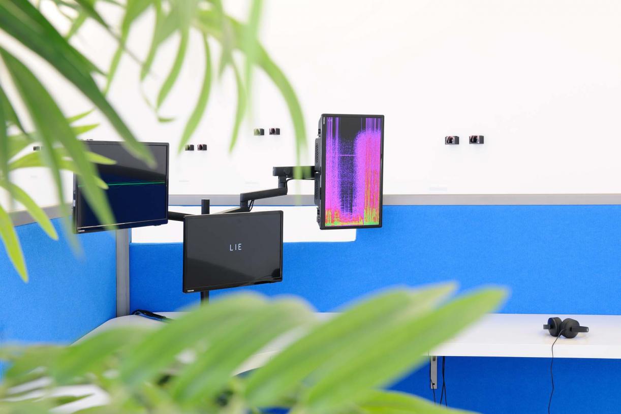 The Whole Truth, 2012, Reverse engineered lie detector, 3 channel video, stereo sound, desk, 3 chairs, 3 artificial plants, 24 minutes, 612 x 435 x 190 cm, Ed.5 + 2 AP