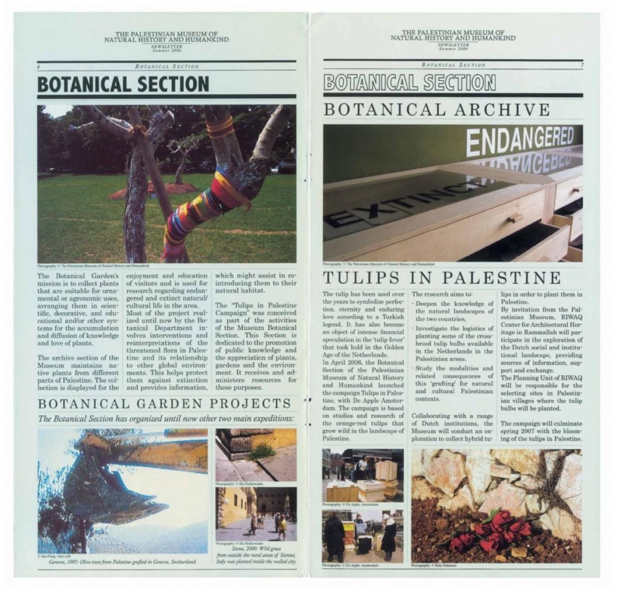 The Palestinian Museum of Natural History and Humankind, Newsletter, Summer 2006