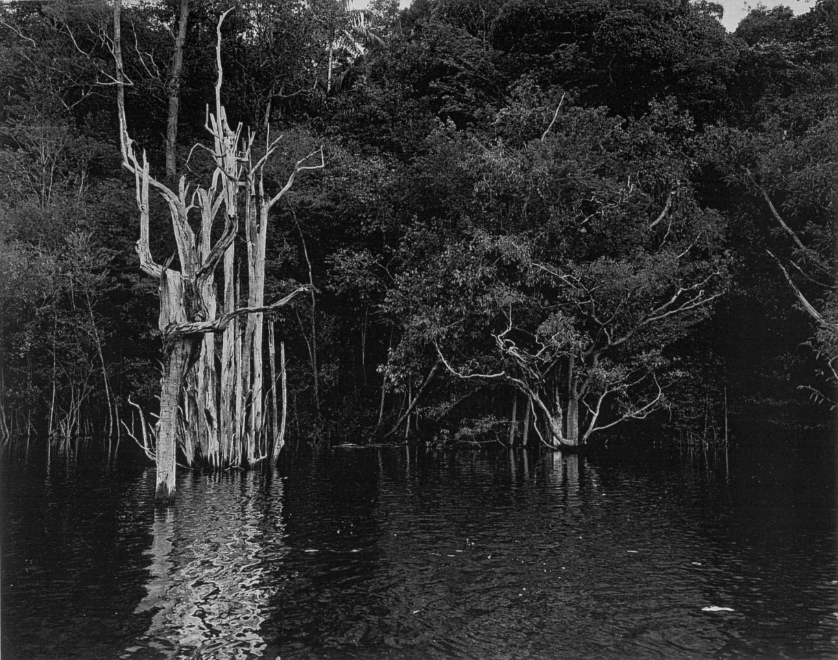 Balthasar Burkhard, Rio Negro, 2002, Silver galtine print, 192 x 240 cm