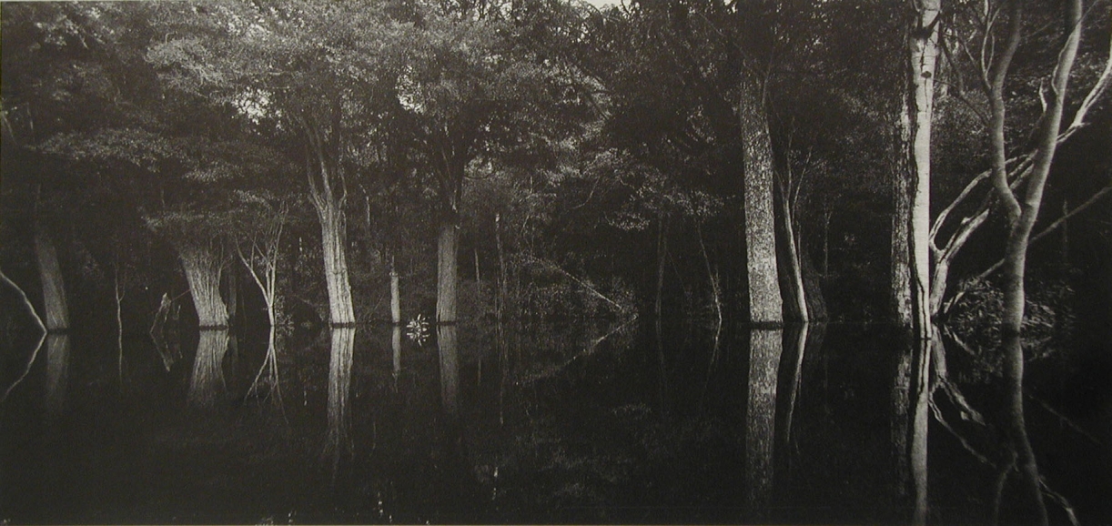 Balthasar Burkhard, Rio Negro, 2002, Silver galtine print, 125 x 250 cm