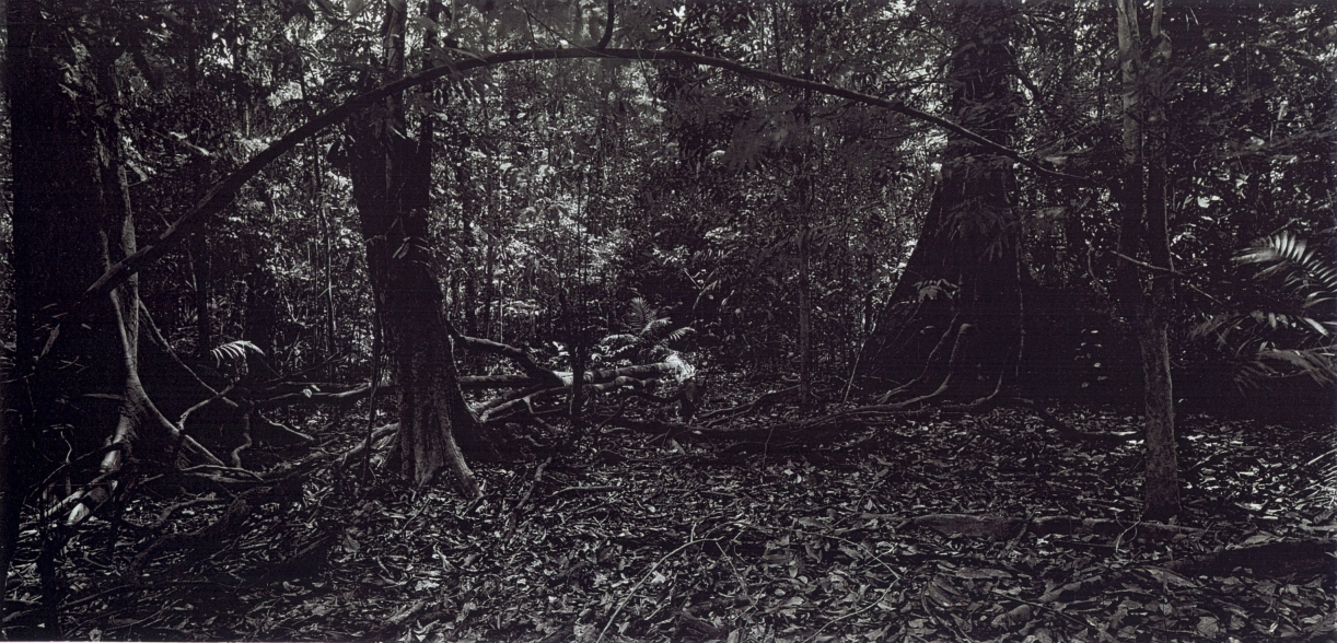 Balthasar Burkhard, Rio Negro, 2002, Silver galtine print, 125 x 250 cm