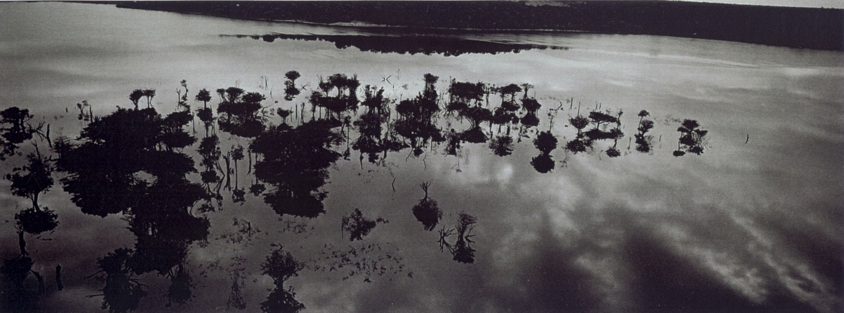 Balthasar Burkhard, Rio Negro, 2002, Silver galtine print, 60 x 160 cm