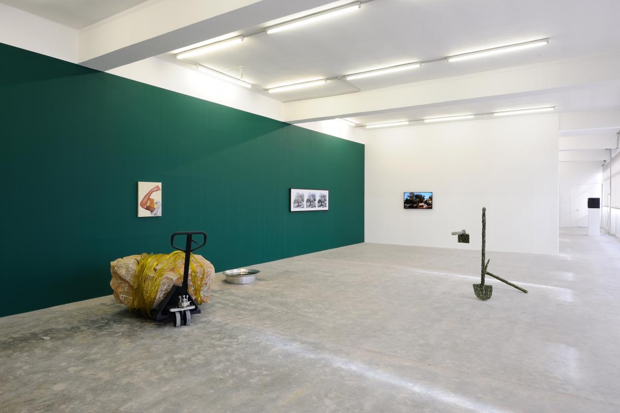 New Sites for the Museum Departments or four places to visit Heaven, 2018, Area C Fields of Gold - Botanical Department, Exhibition view Sfeir-Semler Gallery Beirut