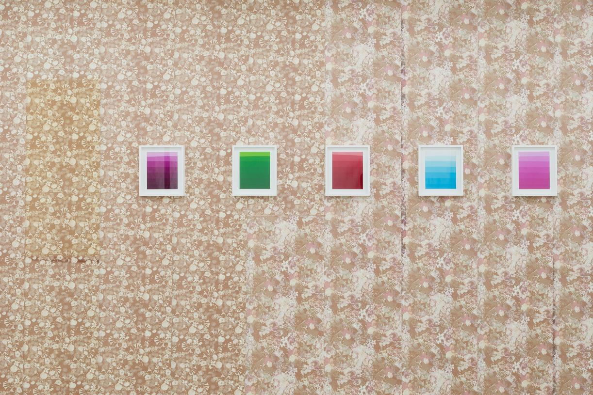 The Sample Book, 2016, Installation views Secession, Wien. ©Iris Ranzinger