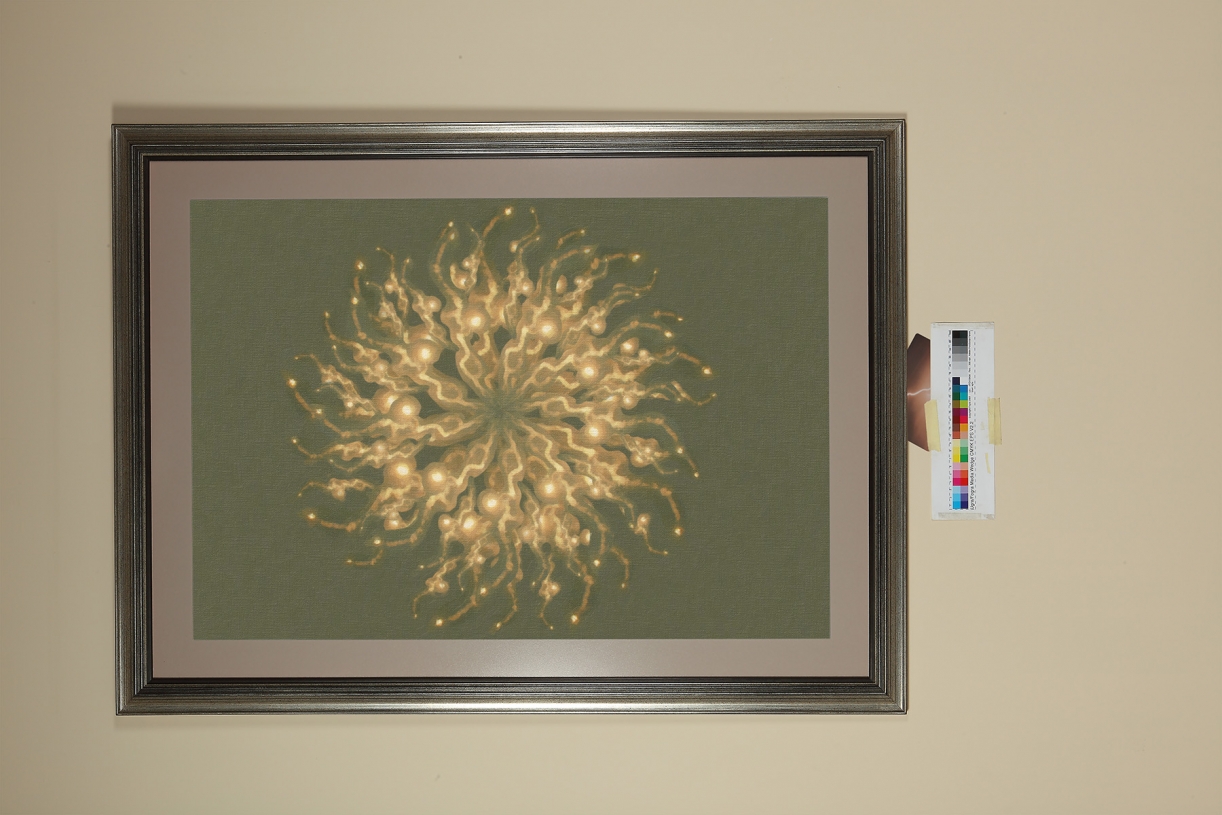 Appendix 153, Plate 001, 2019, Inkjet print, 61 x 91 cm