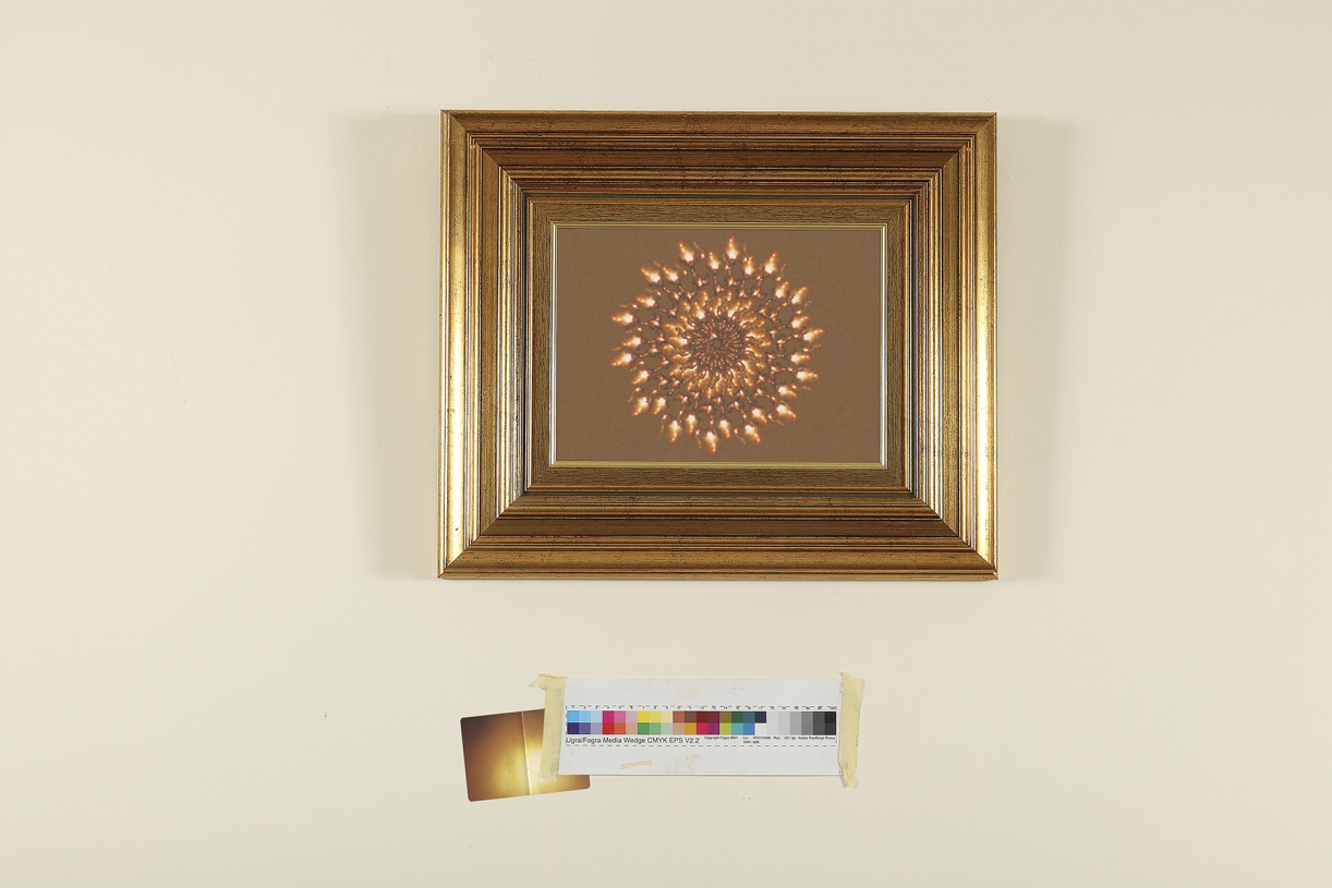Appendix 153, Plate 004, 2019, Inkjet print, 61 x 91 cm