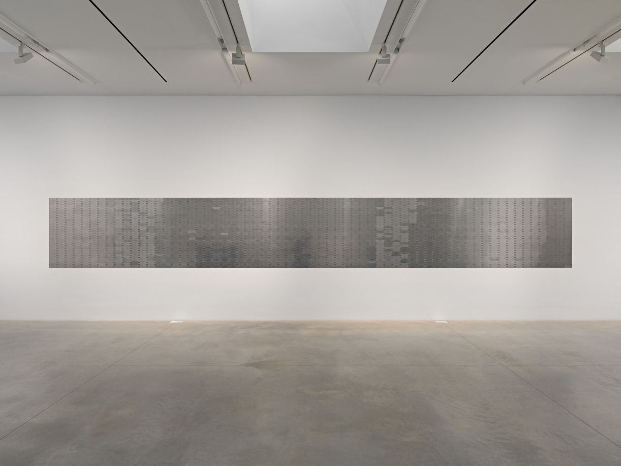 Sung Tieu, Mural for America, 2023, Exhibition view Infra-Specter, Amant, New York, 2023