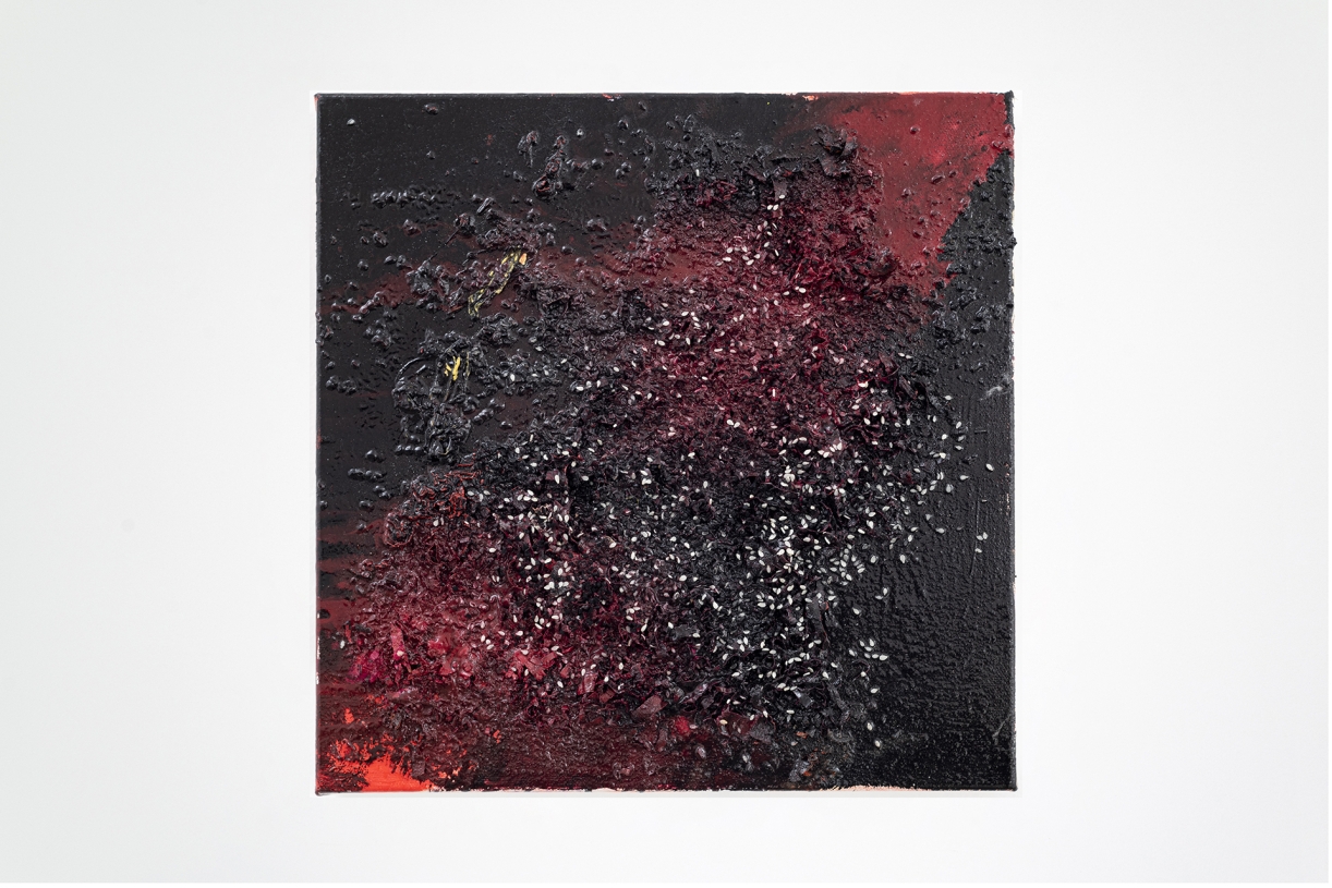Horse Shavings, 2023 Oil, household gloss paint, wood chips and sesame seed on canvas 30,5 × 30,5 cm