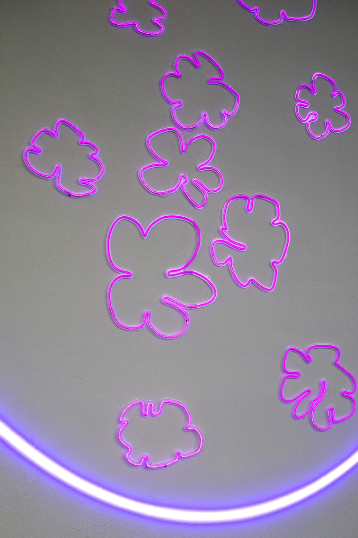 (Raisibe dreaming): flowers and light, flowers and light, 2023, Neon installation, coloured LED, dimensions variable