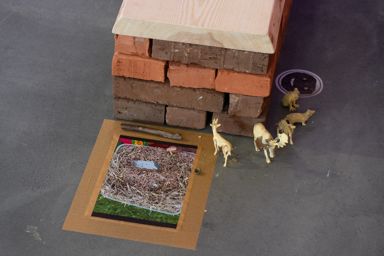 Dineo Seshee Raisibe Bopape, (ka) pheko ye – the dream to come, Installation detail, Courtesy the artist & Sfeir-Semler Gallery, Photo: Studio Stucky