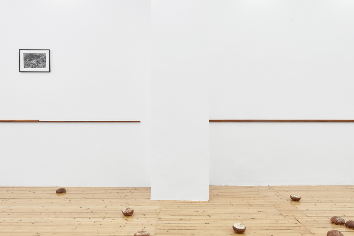 The Benchmark, exhibition view, Sfeir-Semler Gallery Hamburg, Germany, 2024