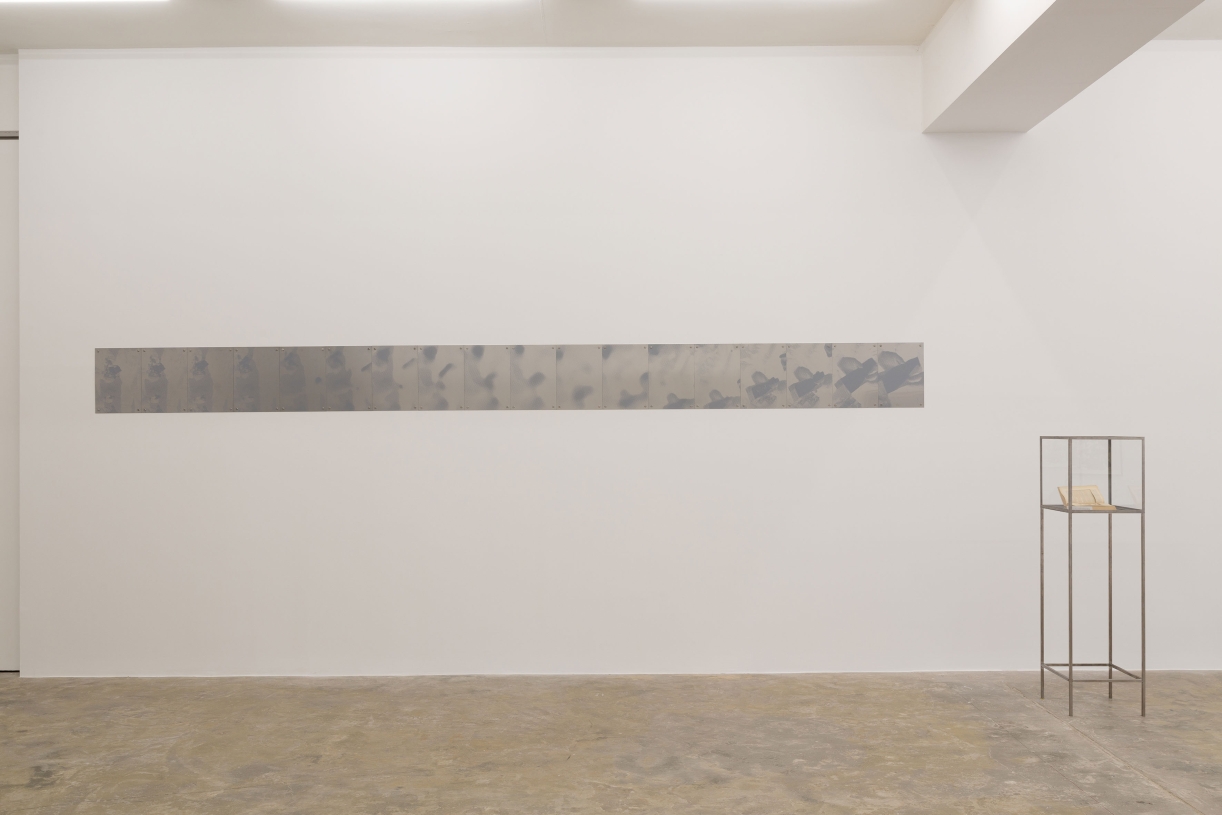 Sung Tieu, installation view, Sfeir-Semler Gallery Karantina, Beirut, Lebanon, 2025