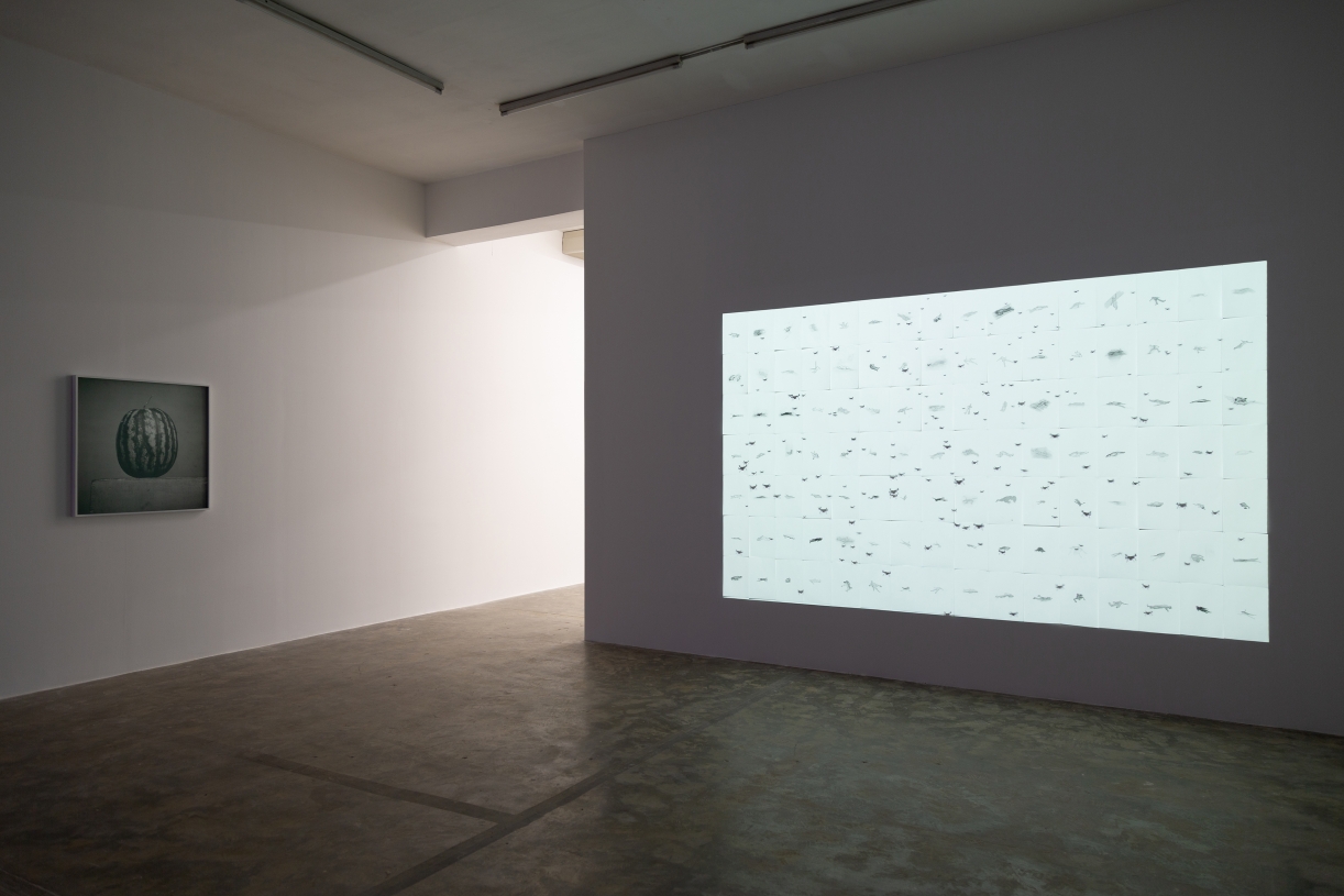 The Shade, exhibition view, Sfeir-Semler Karantina, Beirut, LebanonE