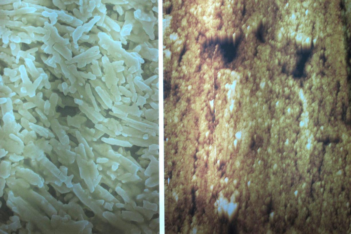 A Conversation with an Unemployed, C-prints on fuji papers, mounted on lightboxes, Variable dimensions, Ed. 5 + 2 AP. Installation view, Beirut in Cairo, 2013