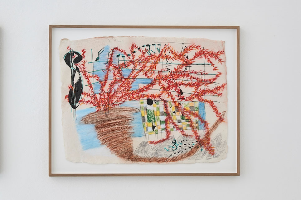 Bougainvillier 1, 2017, Pastel on paper, 55 x 75 cm