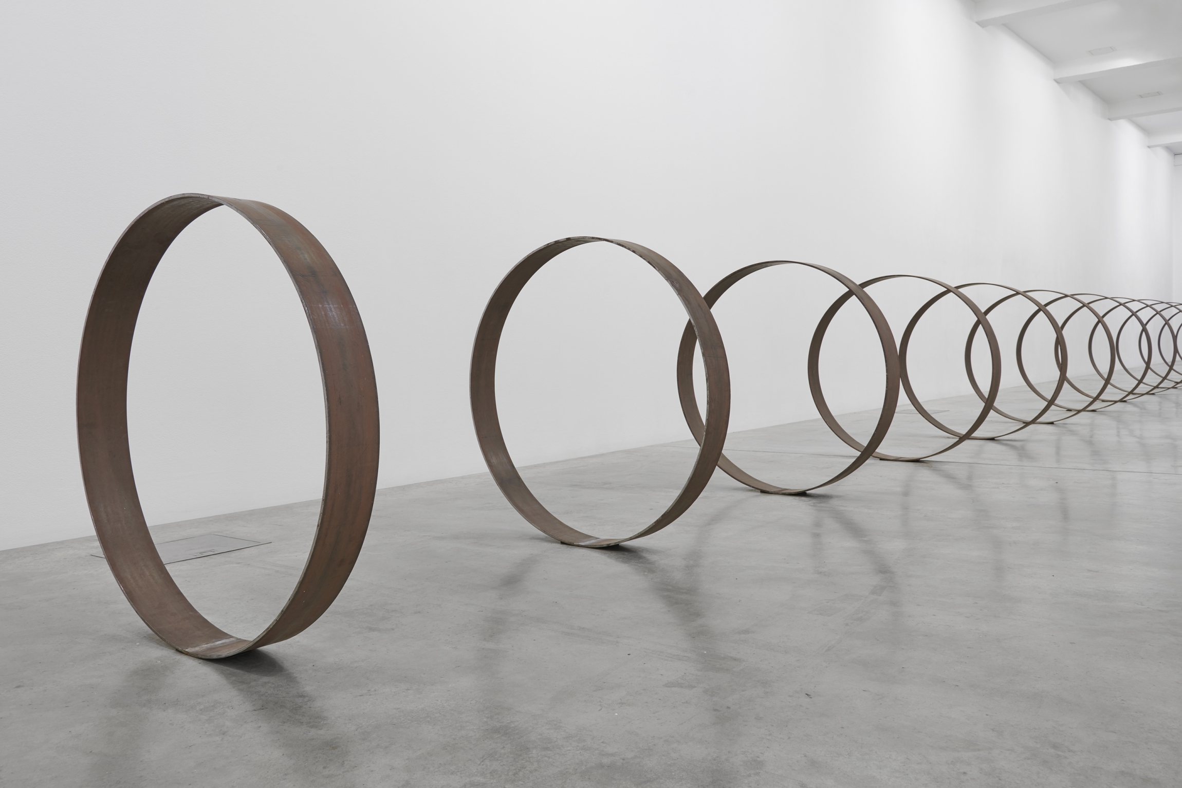 Steel Rings, 2013