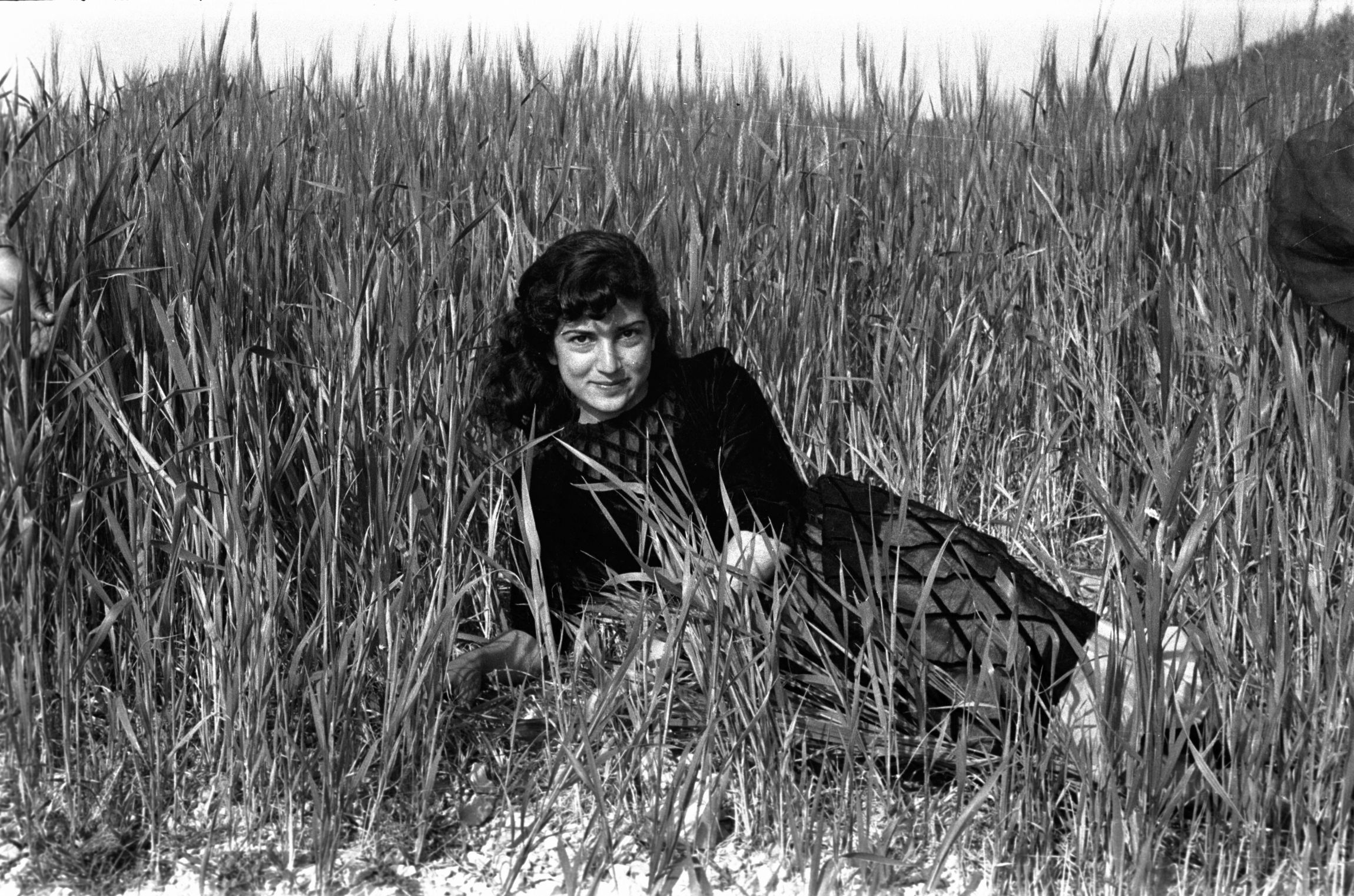 Hashem El Madani: Promenades, Posing in the wheat fields by the train track