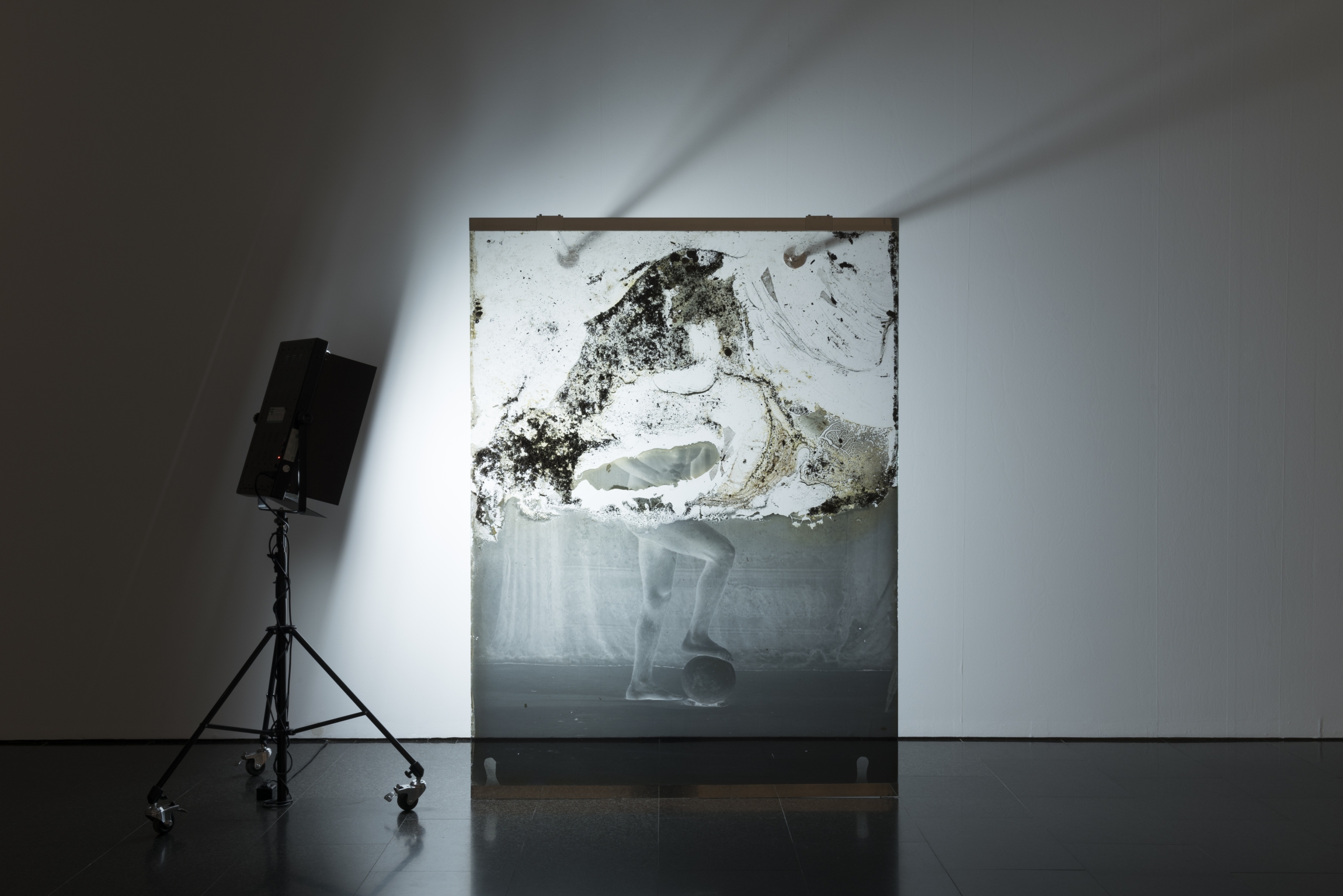 Archeology, 2017, Pigment inkjet print on gelatin treated glass and mixed media, pigment inkjet print on gelatin treated aluminium sheet, floor standing preservation flood light. Installation view MACBA, Barcelona