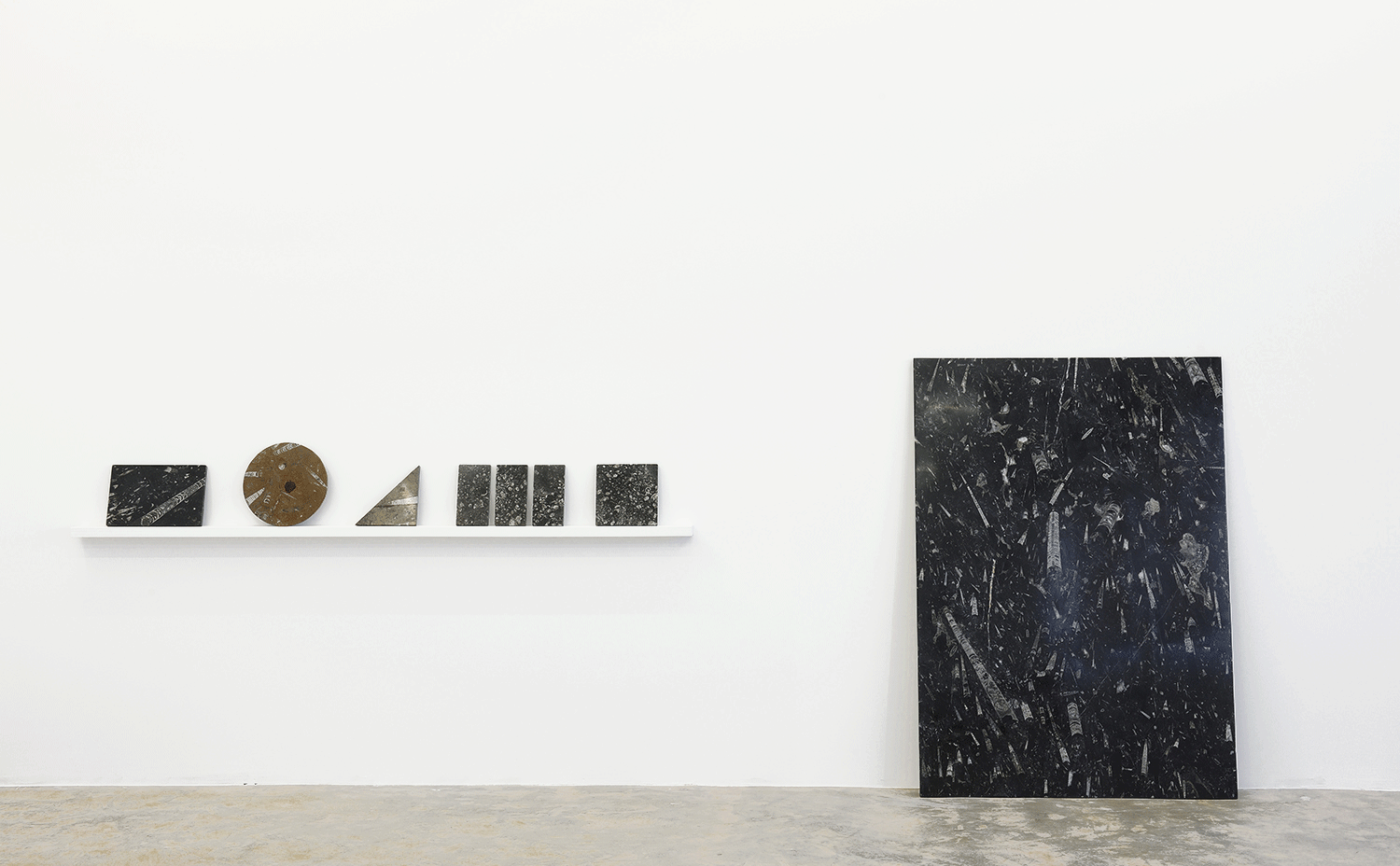 Untitled (Fossil Samples, Rectangle, Square,Triangle, Circle), 2014, Orthoceras fossil stone, Various dimension. Installation view Sfeir-Semler Gallery, Beirut, 2016