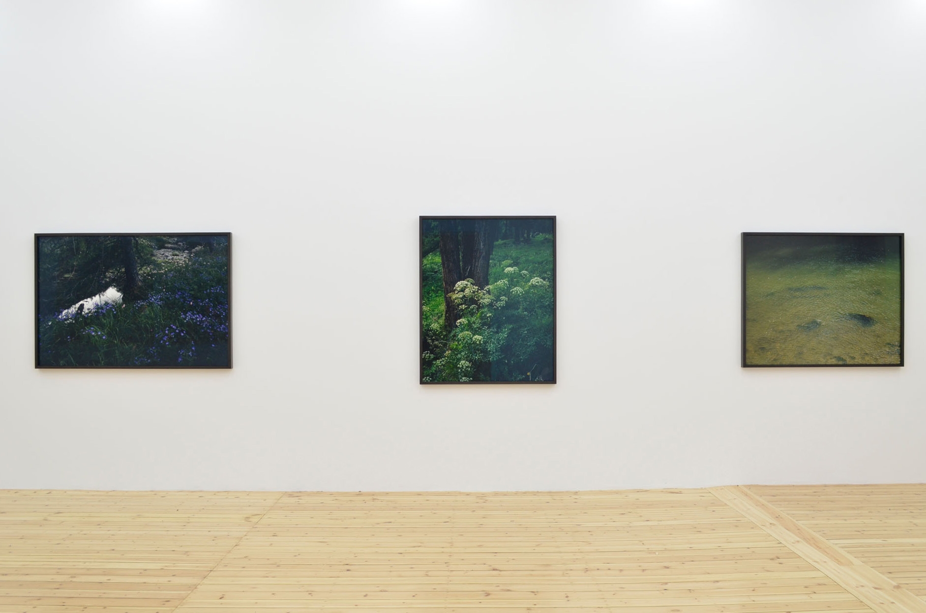 Balthsar Burkhard, Landscape, Exhibition view Sfeir-Semler Gallery Hamburg, 2014