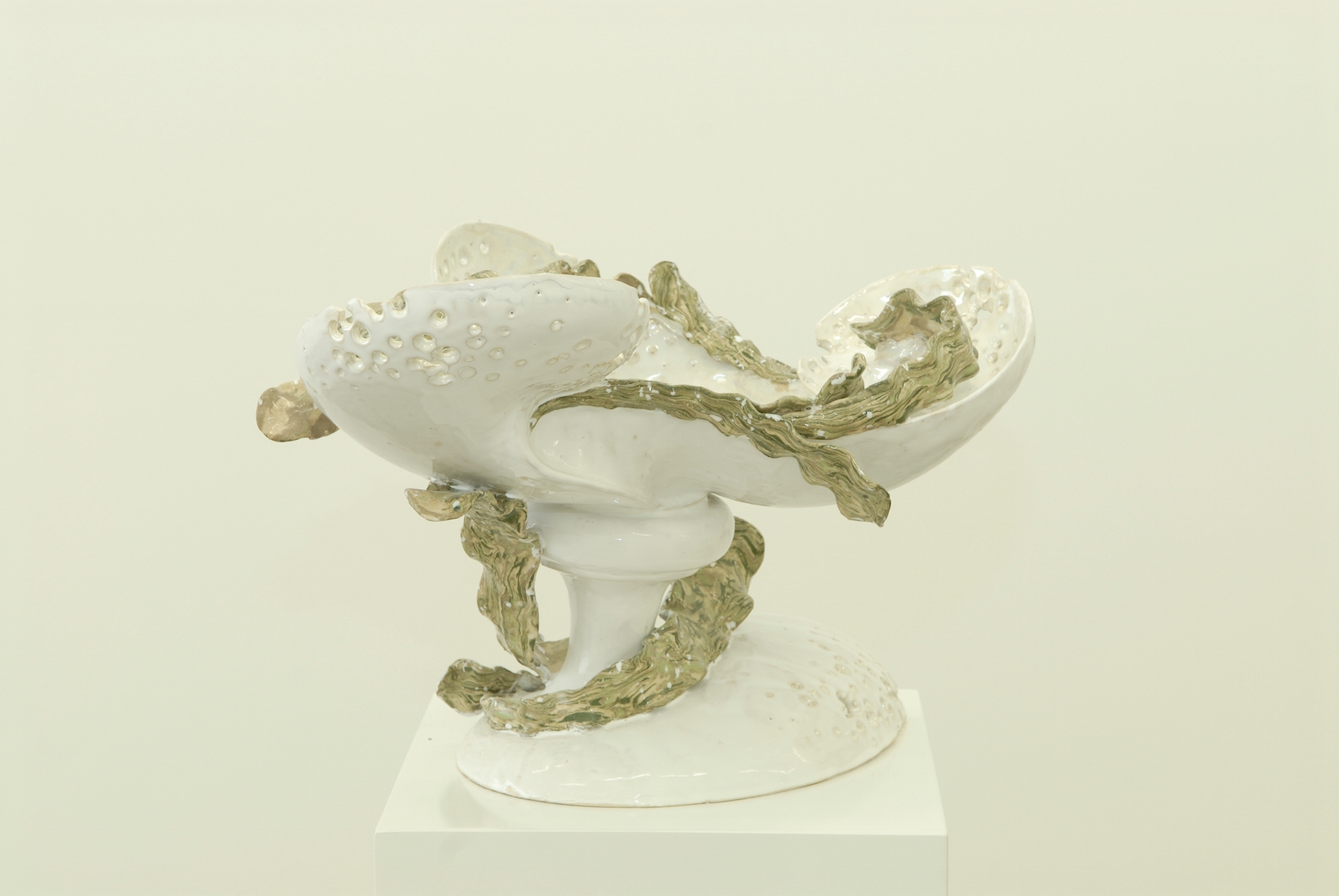 Moritz Altmann, Bowl with two Nautilae II, 2007, glazed ceramic, 40 x 40 x 40 cm