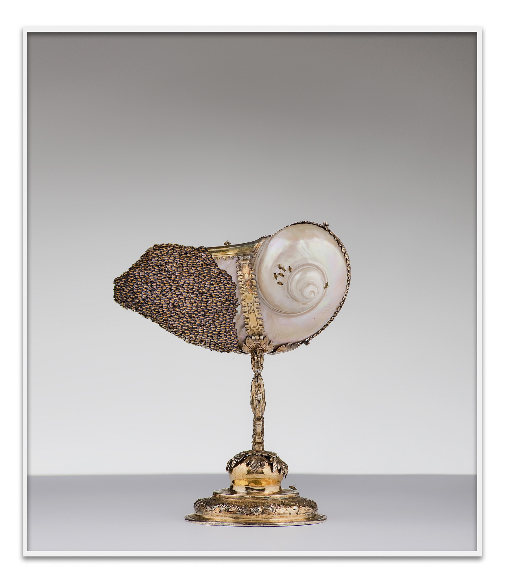 Walid Raad, The Gold and Silver, Bees_DEC0038_2021, Inkjet print, 59,94 x 51,81 cm, 5+2 AP