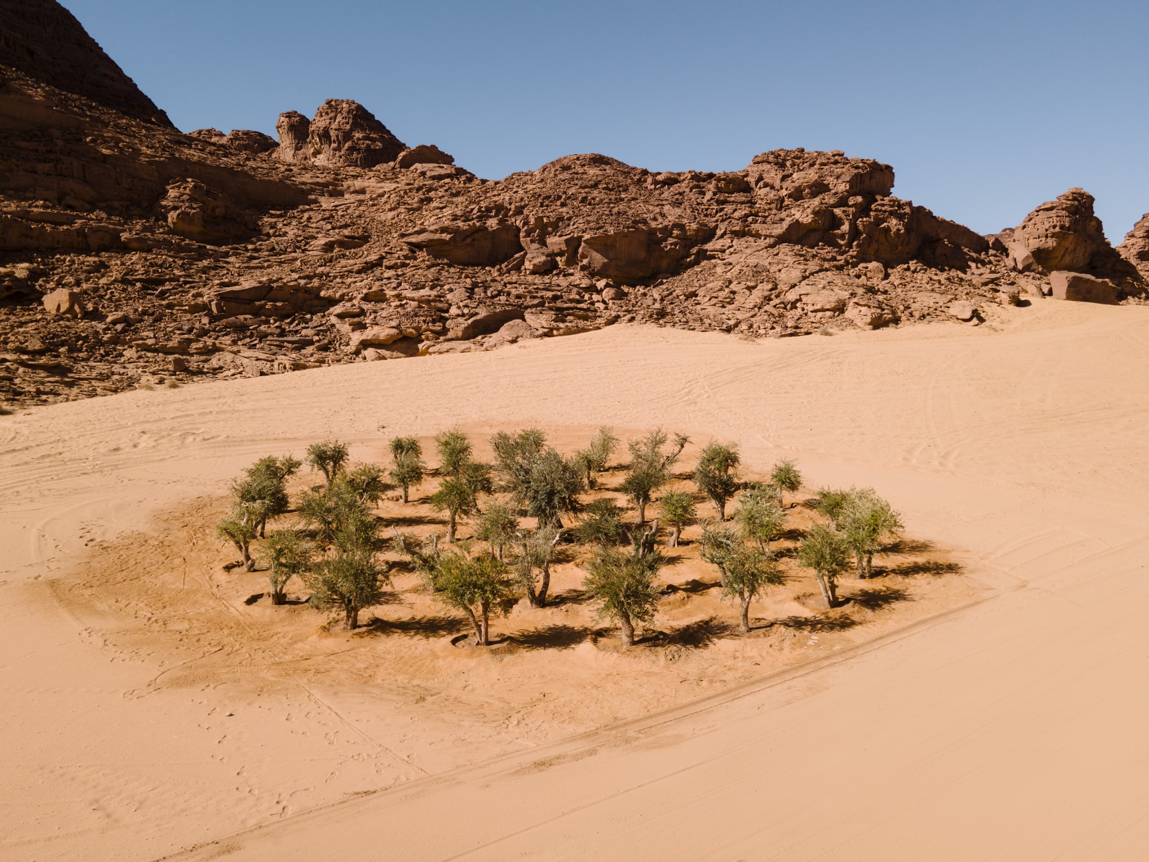 Khalil Rabah, Grounding, 2022, Desert X AlUla 2022. Courtesy of the artist and Desert X AlUla. Photo: Lance Gerber