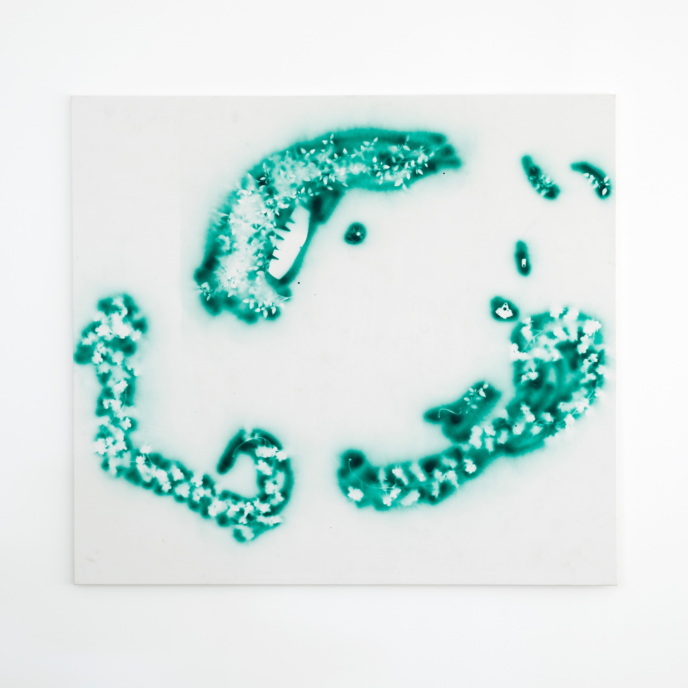 Ania Soliman, inborn-stopper (redbird-ethic) [Witnesser 2], 2022, Spray paint on canvas, 180 x 200 x 2 cm