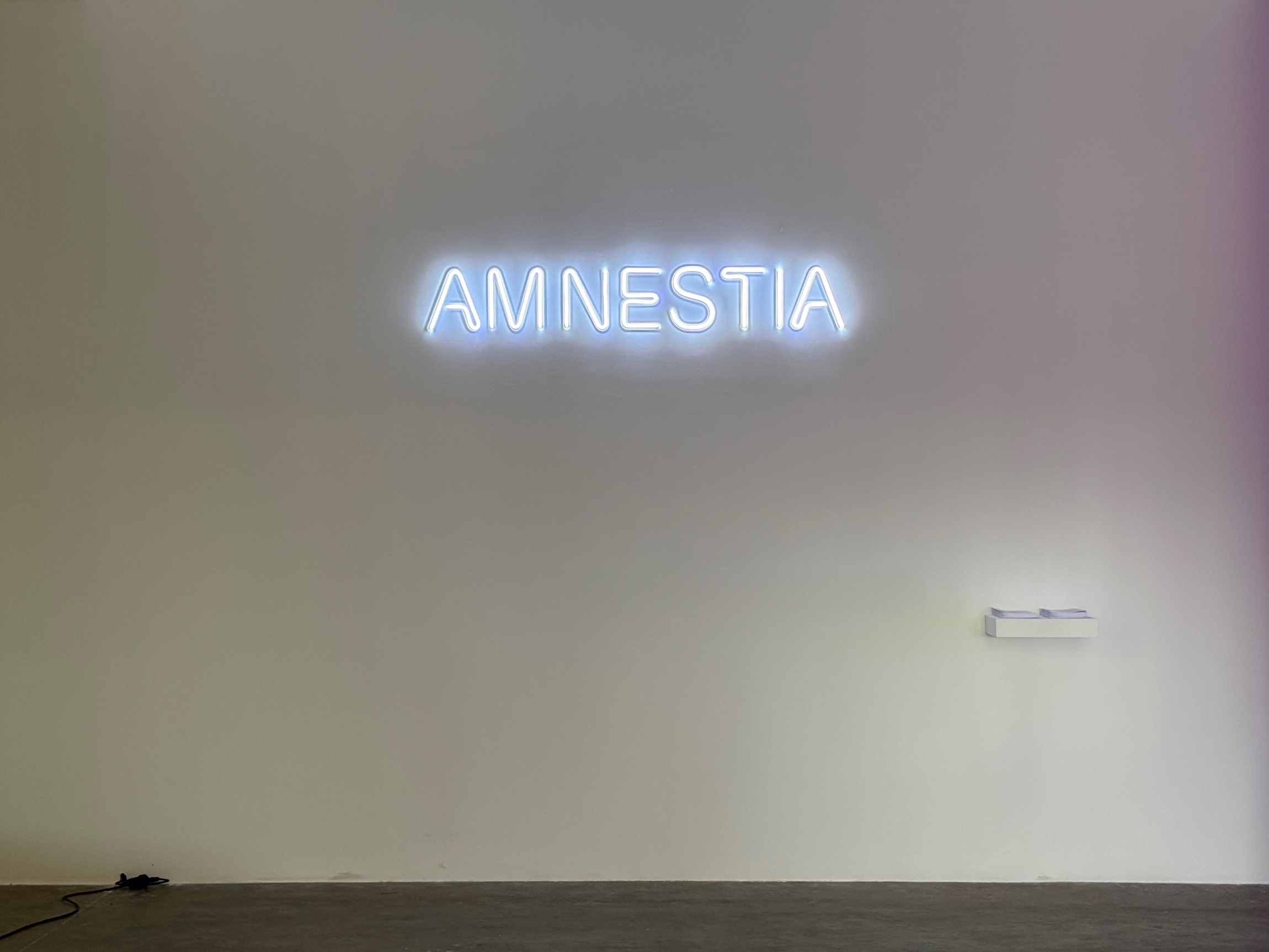Rayyane Tabet, AMNES(T)IA, LED neon, 25 x 165 cm, 7 + 2 AP