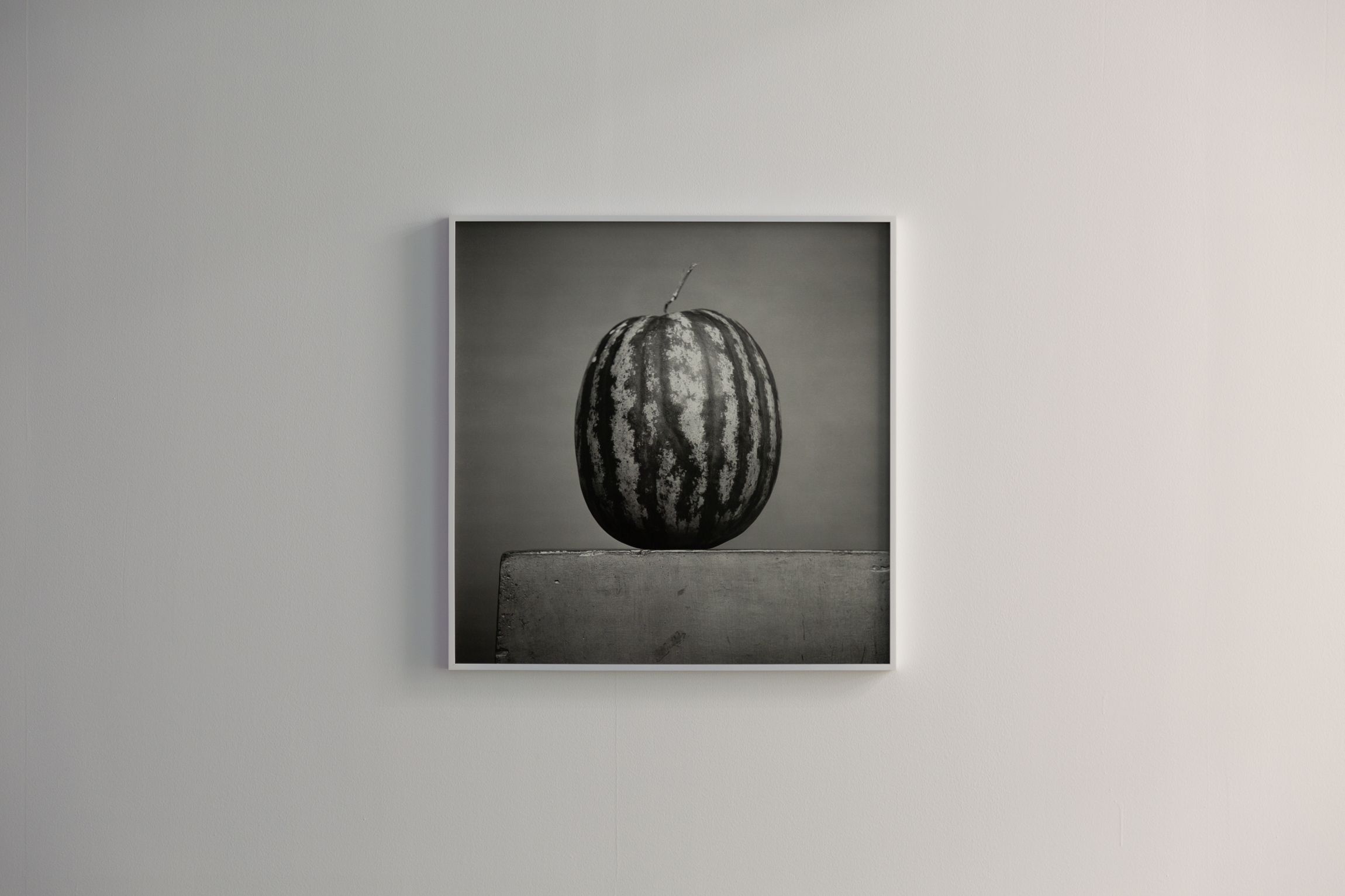 Akram Zaatari, Monochrome Resistance, 2025, 90 x 90 cm, 7 + 2 AP
