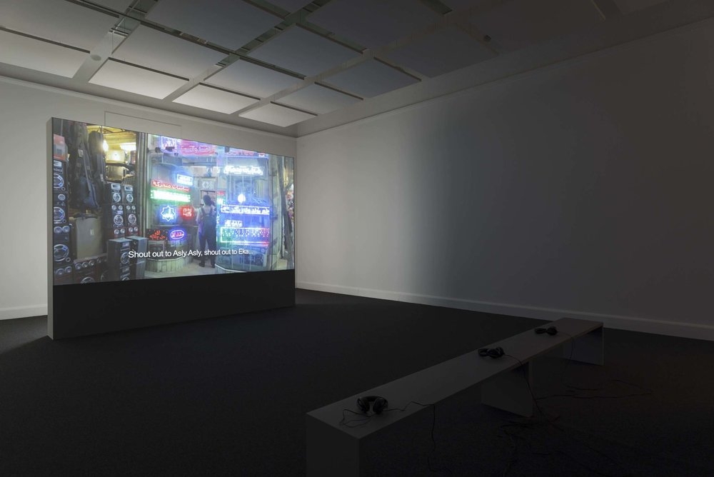 The All-Hearing,  2014, Digital video, 11 min, Ed. 3 + 2 AP. Installation view, Van AbbeMuseum, Netherlands, 2014
