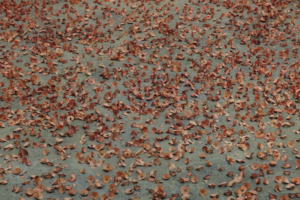 967/6983.jpg