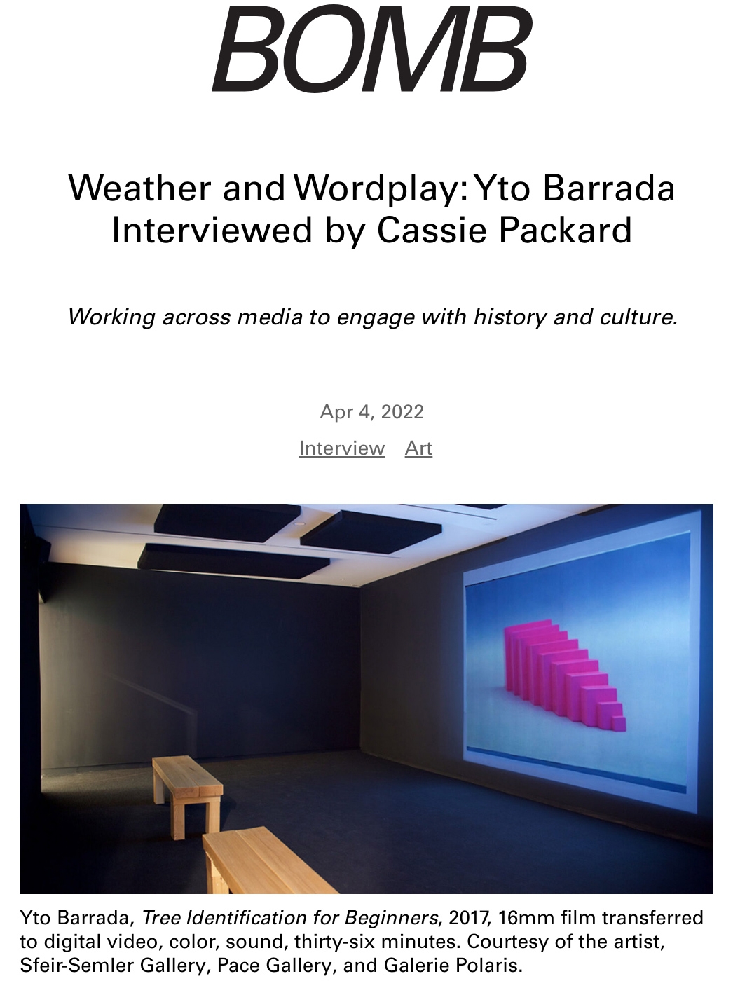 "Weather and Wordplay: Yto Barrada Interviewed by Cassie Packard" | via BOMBmagazine, published April 4, 2022