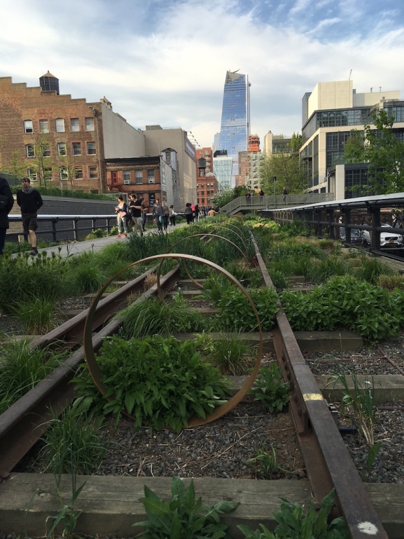 Steel Rings, 2013