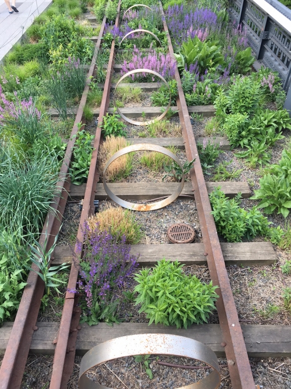 Steel Rings, 2013