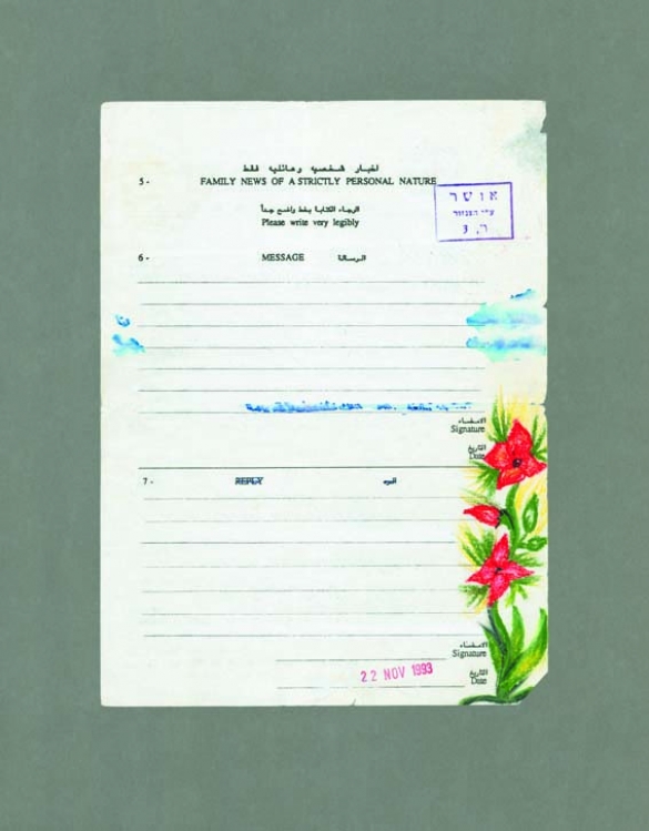 Neruda's Flowers 03, 2007, C-Print, framed, 80 x 62,5 cm