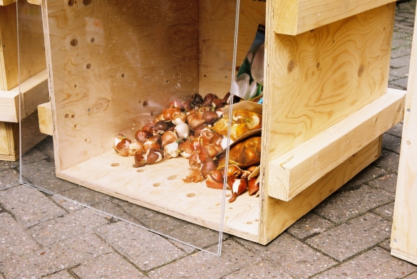 Tulips in Palestine, 2006, Exhibition view, De Apple, Amsterdam