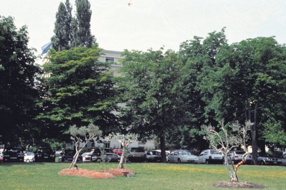 Grafting, 1995, Exhibition view. Ariana Park, Geneva