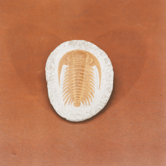 Untitled (Berringer's Lying Stones), 2014-2015, chromogenic print, 30 x 30 cm