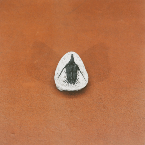 Untitled (Berringer's Lying Stones), 2014-2015, chromogenic print, 30 x 30 cm